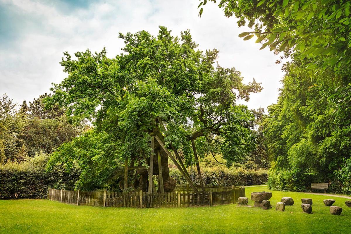 Erler Koornhuus Bed & Breakfast Raesfeld Luaran gambar